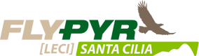 FlyPyrSantaCilia