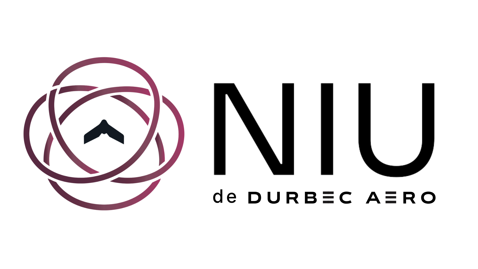 NIU de Durbec Aero
